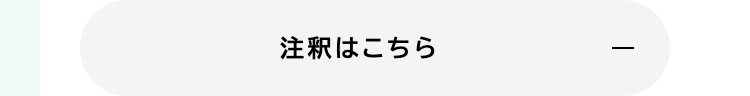 注釈はこちら